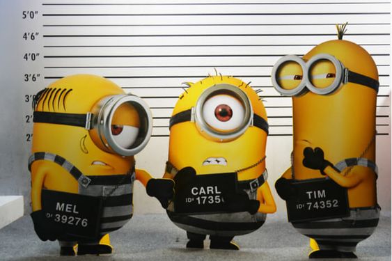 The height of Tim the minion