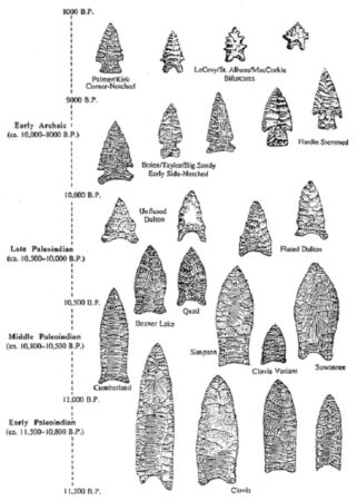 Arrowhead age chart