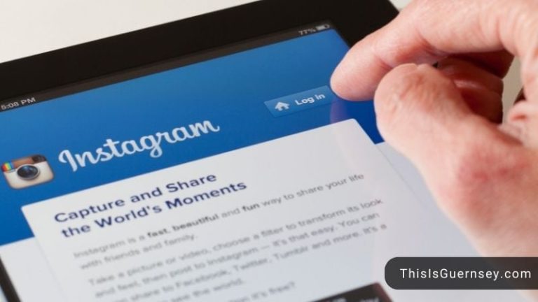 What Are Profile Interactors On Instagram Reports Apps? - Important Things You Should Know