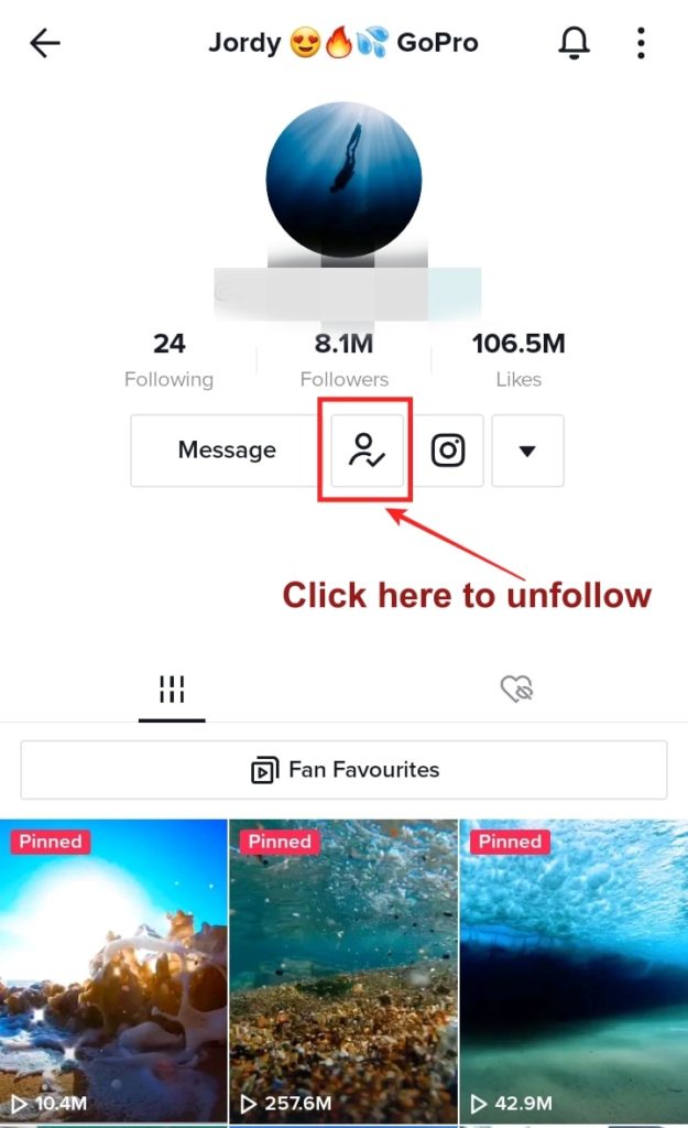 Unfollow directly from the user's profile page