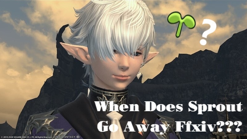 When Does Sprout Go Away FFXIV? | Final Fantasy Knowledge