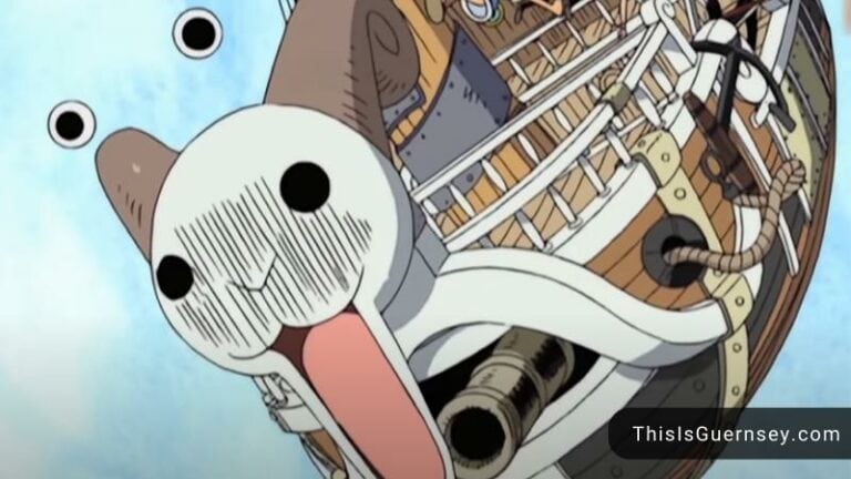 Who Fixed The Going Merry In Skypiea?| One Piece's Fact