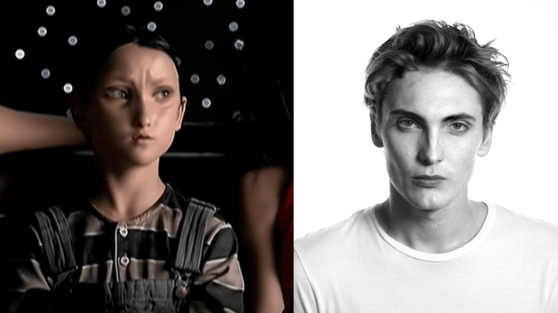 Eamon Farren is believed to be the boy in Aerials music video