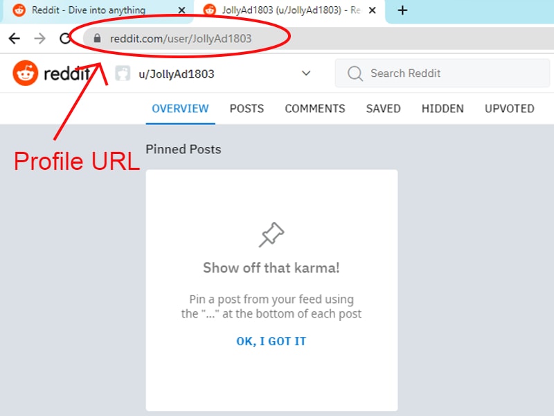 Reddit Profile URL