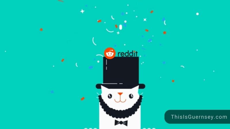 Can You See Who Visits Your Reddit Profile