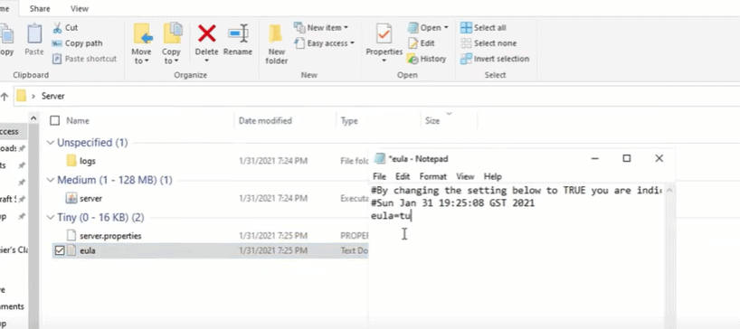 Change the info in the EULA and server.properties files