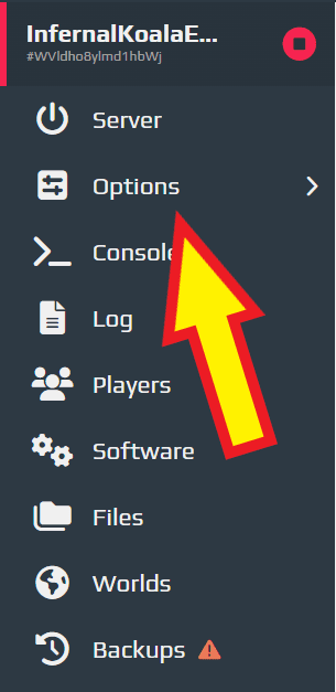 Click on Options in the Menu column