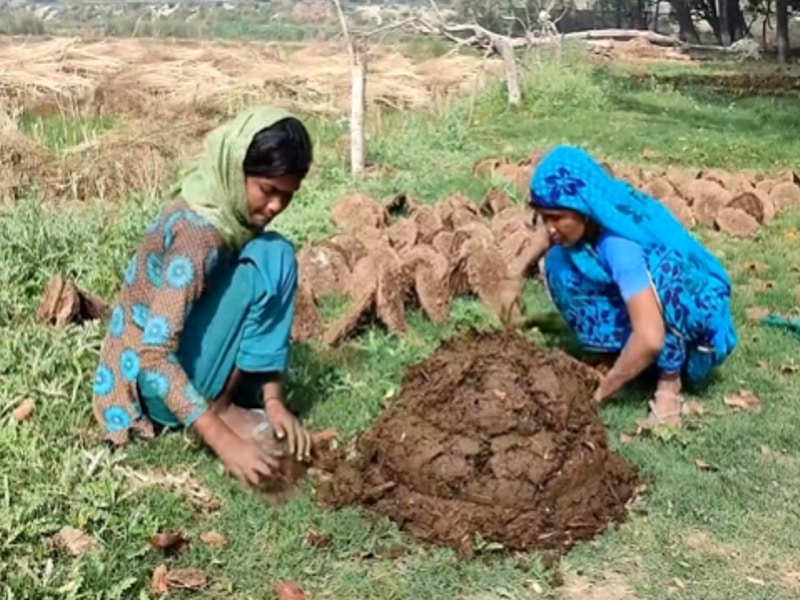 Morning daily routine village life in Indian