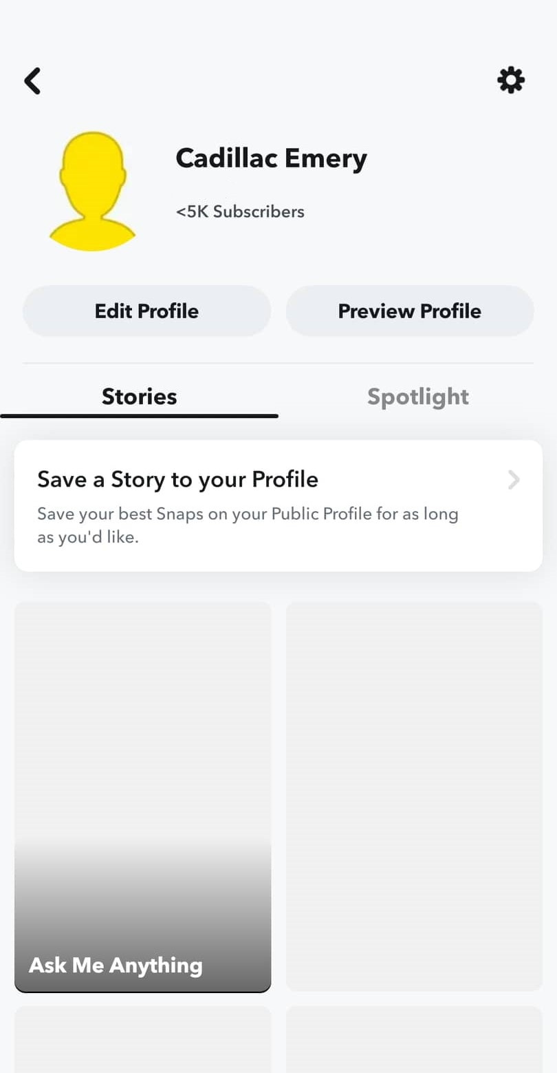 Profile of a public account