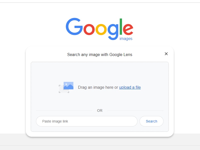 Using Google Image